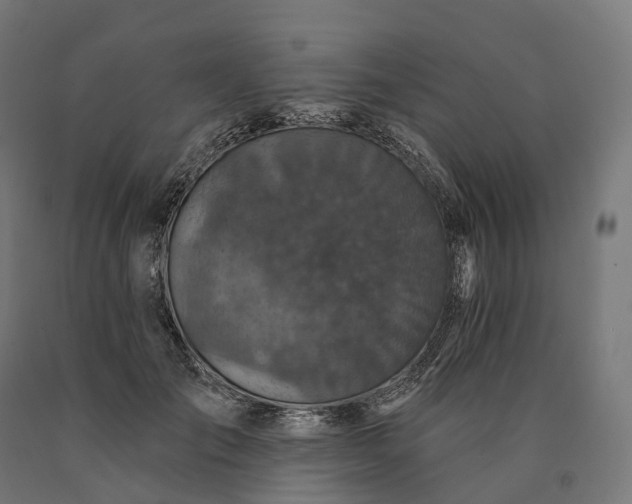 X0000090770701200708031653