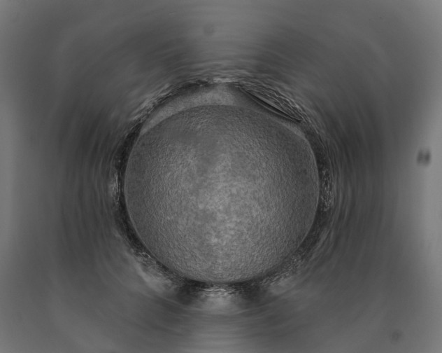 X0000090770704200708031653