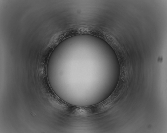 X0000090770706200708031653