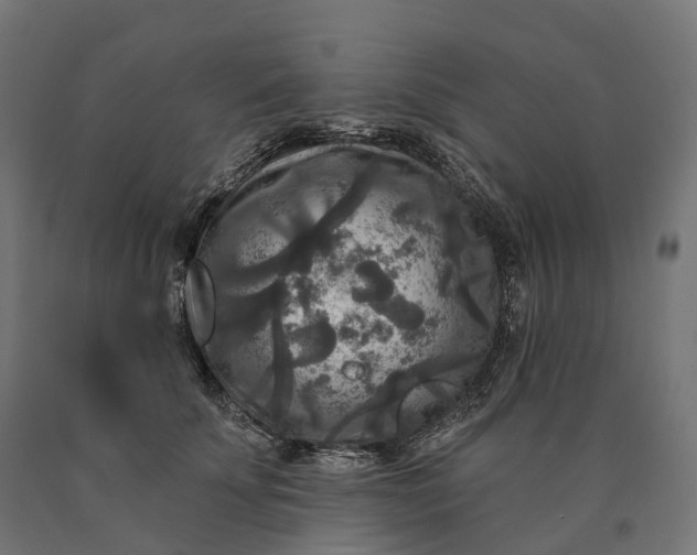 X0000090770707200708031653