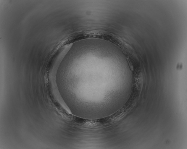 X0000090770708200708031653