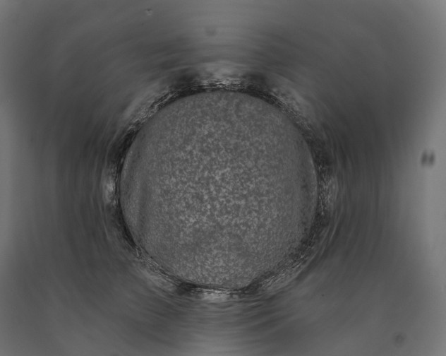 X0000090770709200708031653