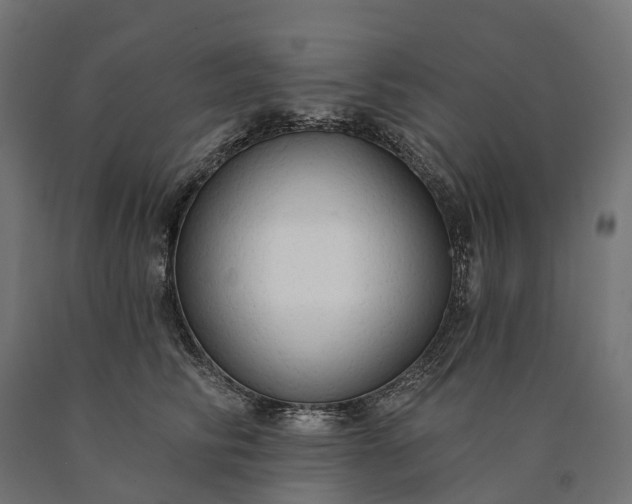 X0000090770710200708031653