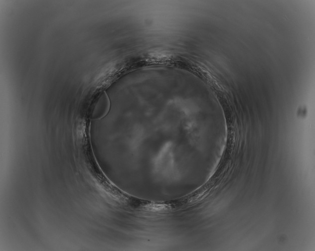X0000090770711200708031653