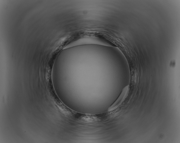 X0000090770712200708031653