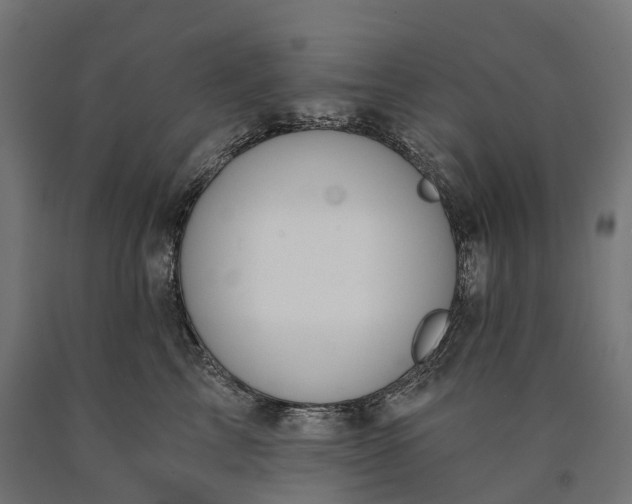 X0000090770713200708031652