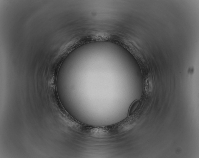 X0000090770714200708031652