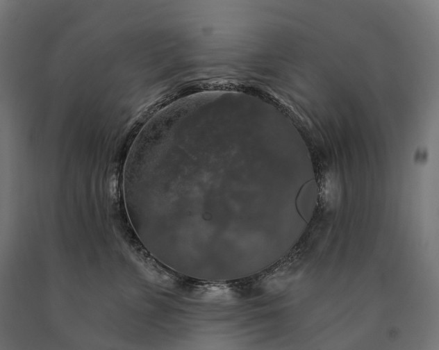 X0000090770715200708031652