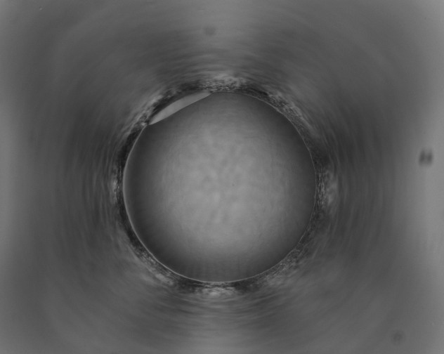 X0000090770716200708031652