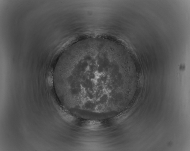X0000090770719200708031652