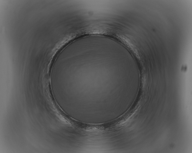 X0000090770721200708031652