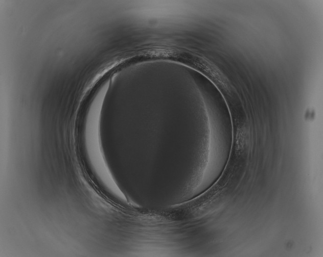 X0000090770722200708031652