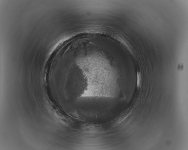 X0000090770723200708031652