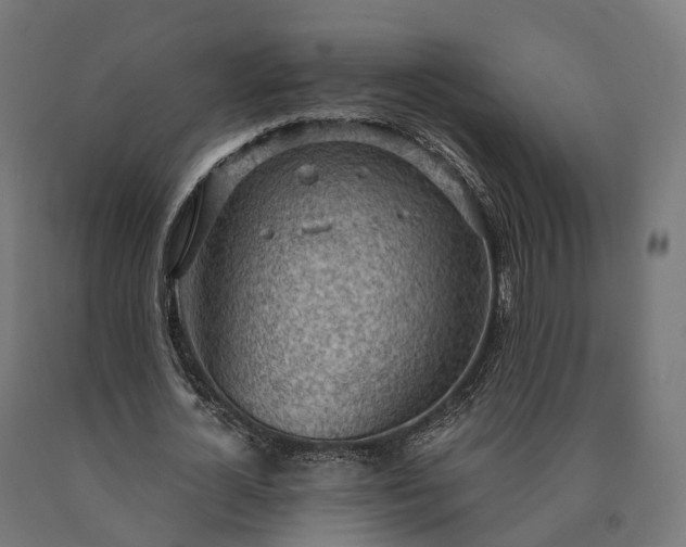 X0000090770724200708031652