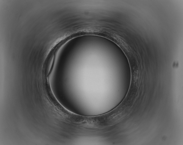 X0000090770727200708031652