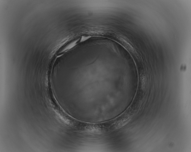 X0000090770729200708031652