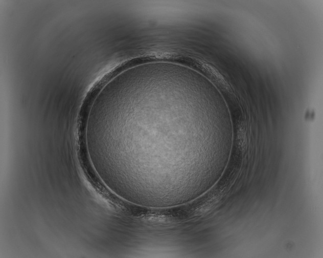 X0000090770730200708031652