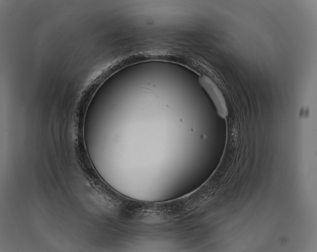 X0000090770732200708031652