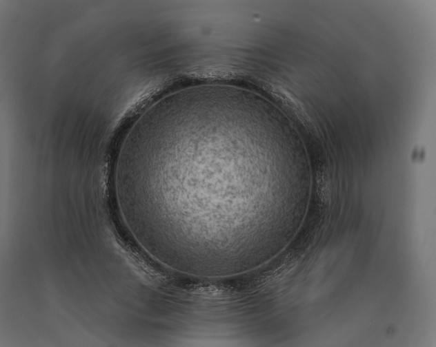 X0000090770735200708031652
