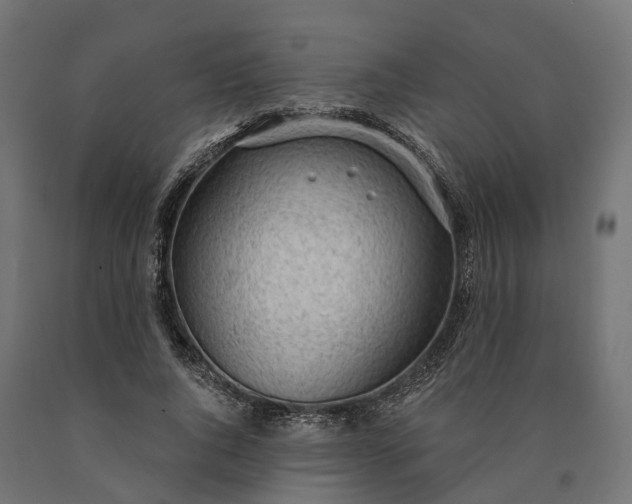 X0000090770736200708031652