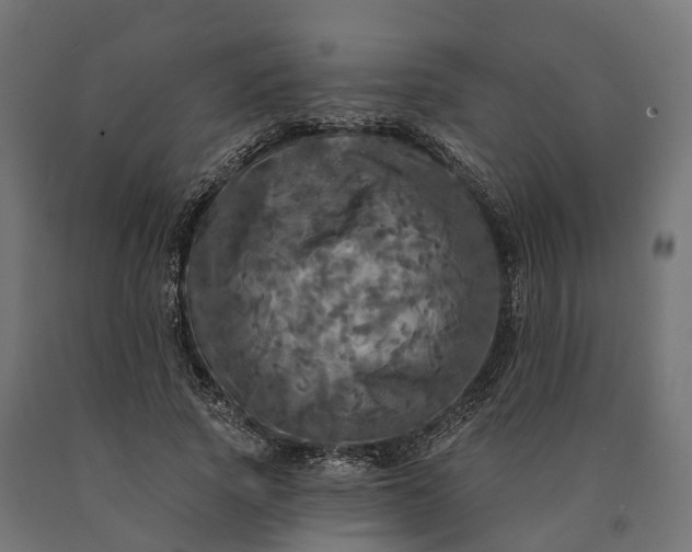 X0000090770737200708031652