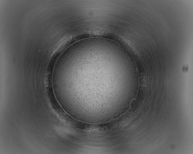 X0000090770738200708031652