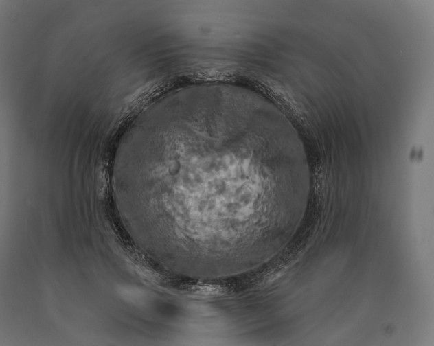 X0000090770741200708031652