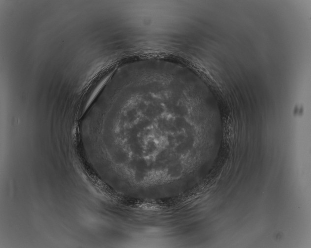 X0000090770742200708031652