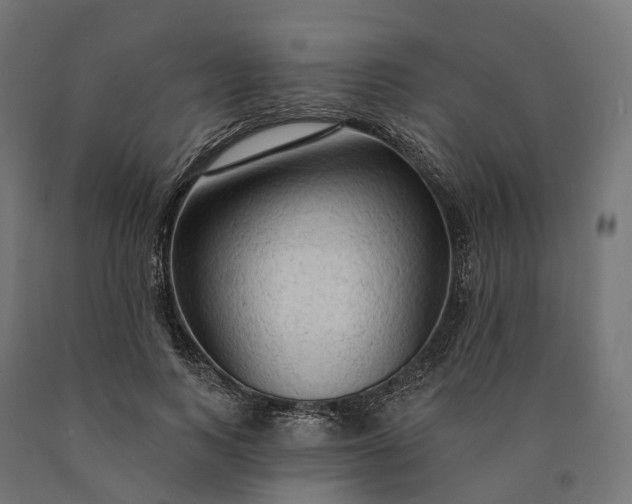 X0000090770743200708031652