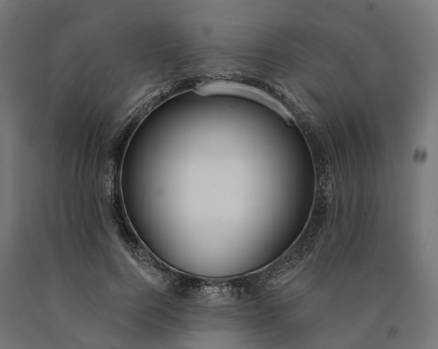 X0000090770744200708031652
