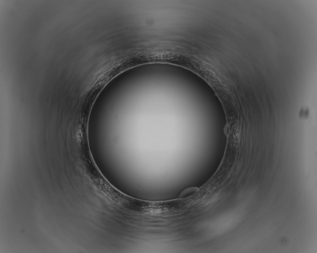 X0000090770746200708031652