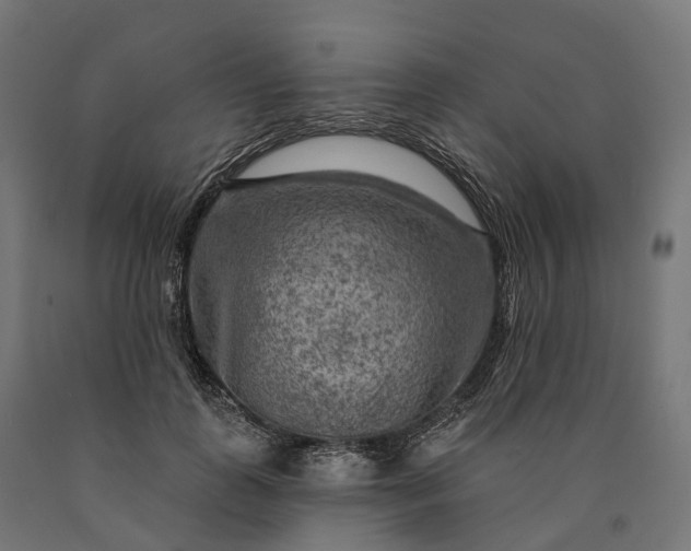 X0000090770747200708031652