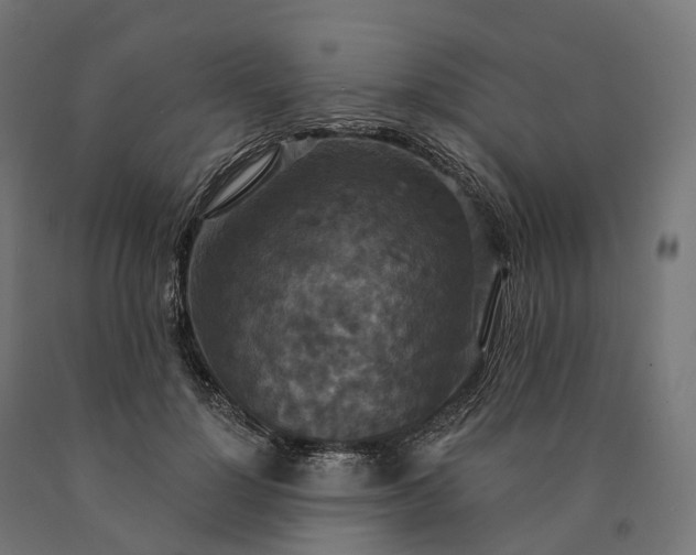 X0000090770748200708031652