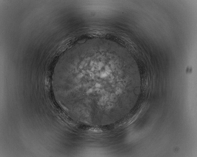 X0000090770749200708031652