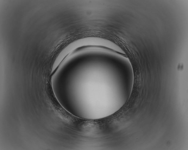X0000090770750200708031652