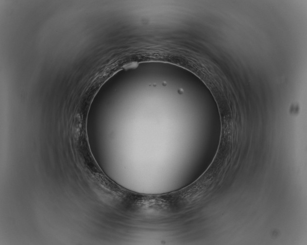 X0000090770752200708031652