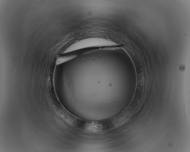 X0000090770754200708031652