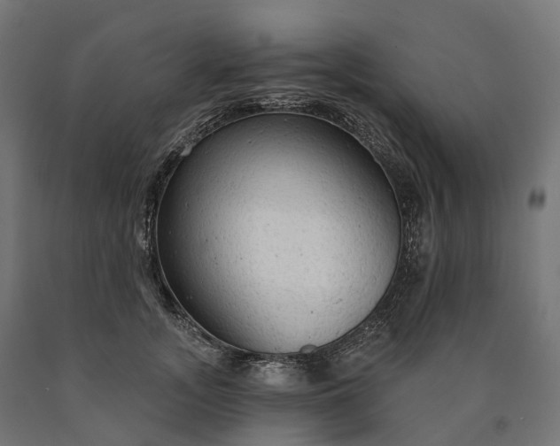 X0000090770755200708031652