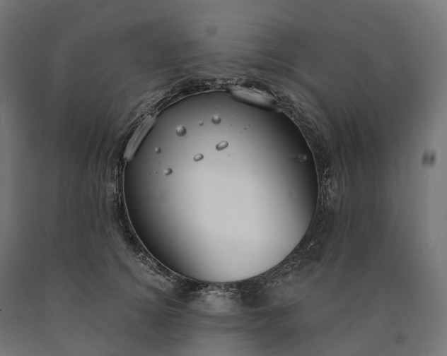 X0000090770756200708031652