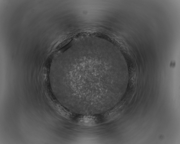 X0000090770758200708031652