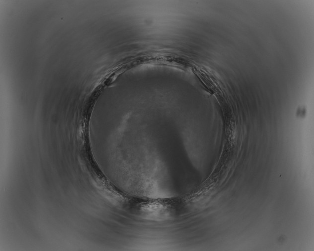 X0000090770759200708031652