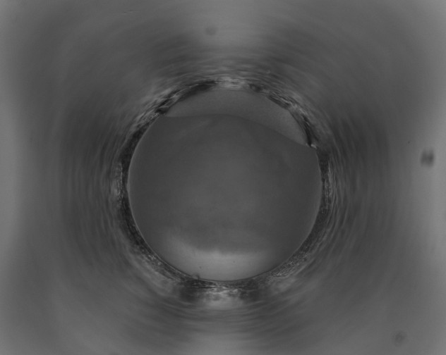 X0000090770760200708031652