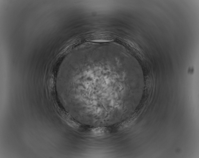 X0000090770761200708031652