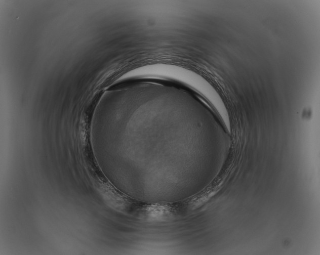 X0000090770762200708031652