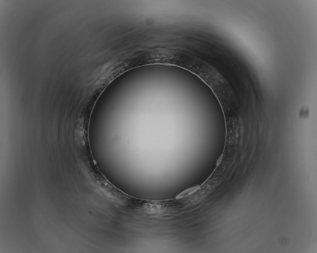 X0000090770764200708031652