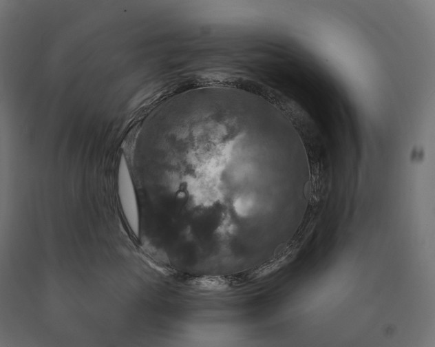 X0000090770765200708031652