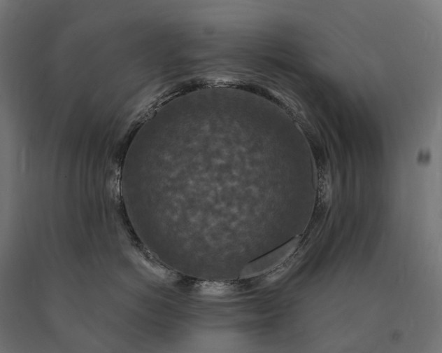 X0000090770766200708031652