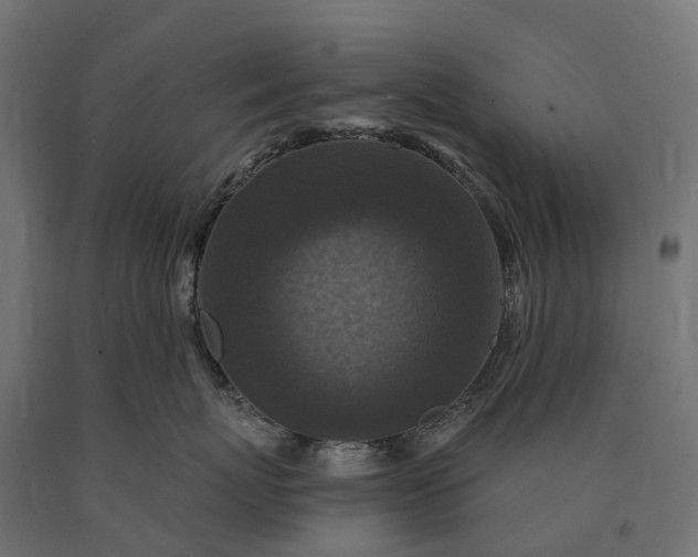 X0000090770767200708031652