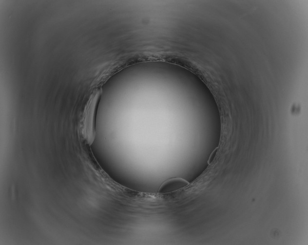 X0000090770768200708031652