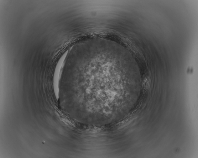 X0000090770772200708031652